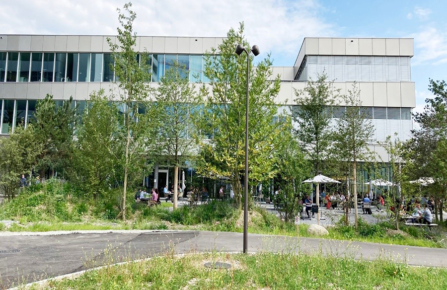 Fostering Innovation and Sustainability The Innovation Campus DSM by Bryum