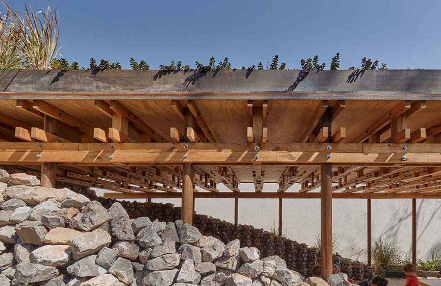 El Terreno Communal Garden A Sustainable Oasis